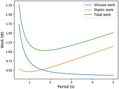Interplay Between Optimal Ventilation and Gas Transport in a Model of the Human Lung
